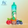 RandM Tornado 15000 Puffs Disposable Vape – Watermelon Ice
