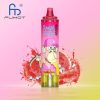 RandM Tornado 15000 Puffs Disposable Vape – Peach Blueberry Candy